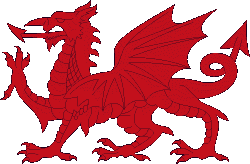 Enter the Wales Dragon