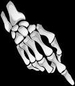 bones hand