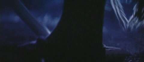 Snake Satan Heel Prophecy