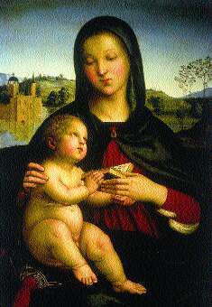 Raphael Madonna Bush Dog