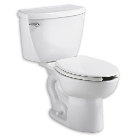 ferguson toilet