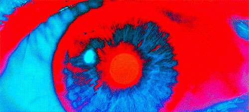 2001 Eye