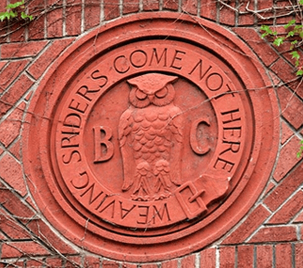 bohemian owl