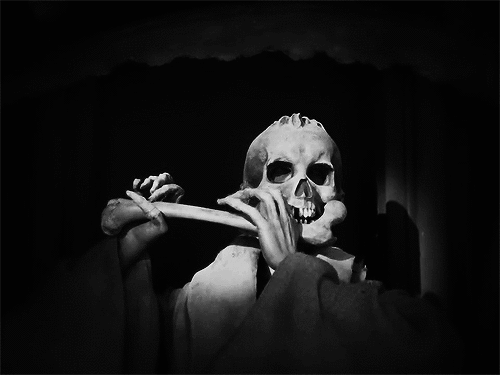 skeleton flute bones