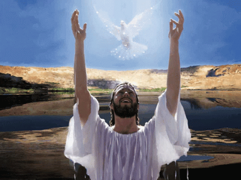 holy spirit bird