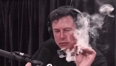 Musk Feeding the hungry