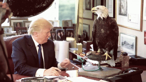 trump eagle